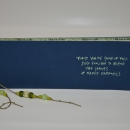inspired-objects-book-art-22